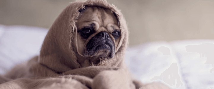 Mastering Mobile App ROI Measurements