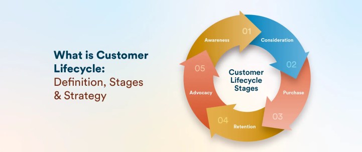 What is Customer Lifecycle? Definition & Stages Explained With Examples