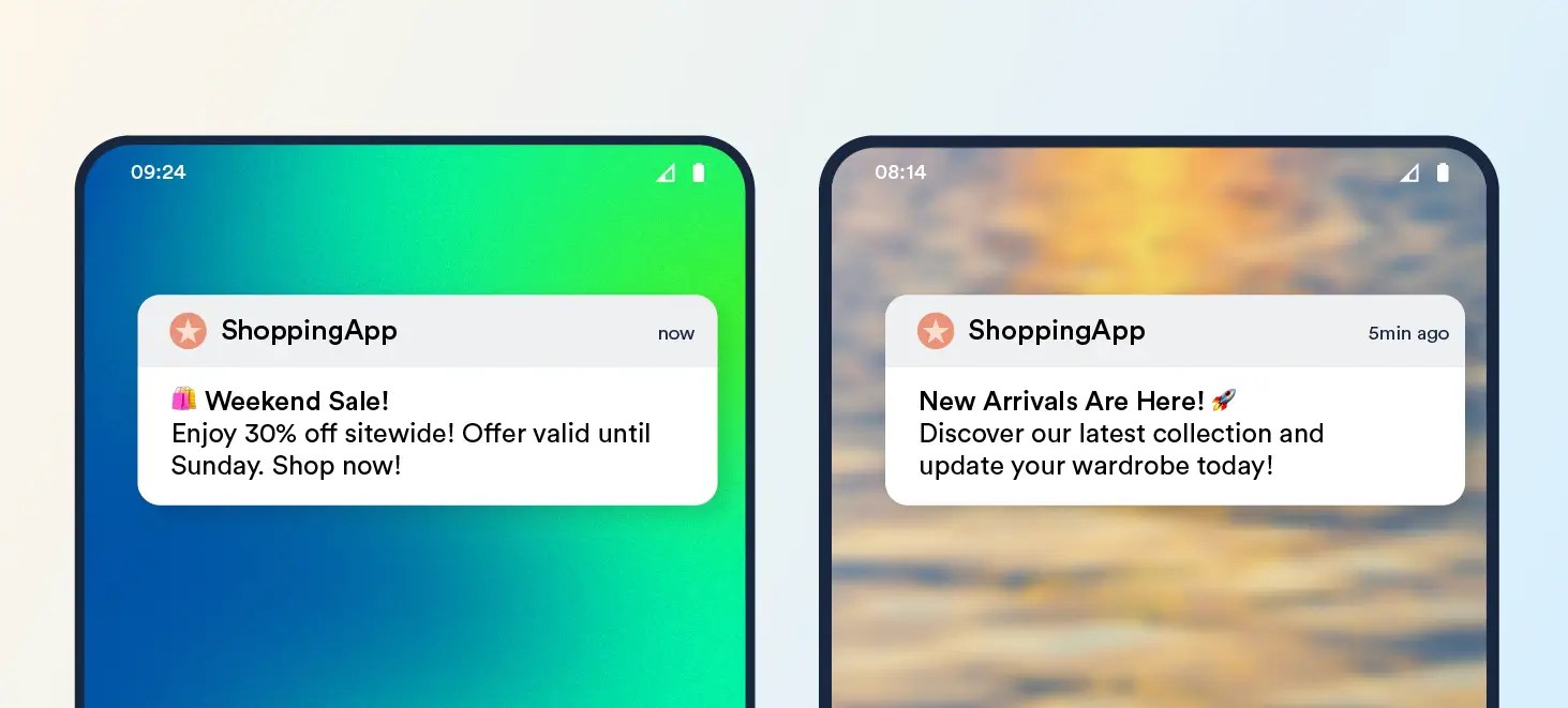 Promotional e-commerce push notifications