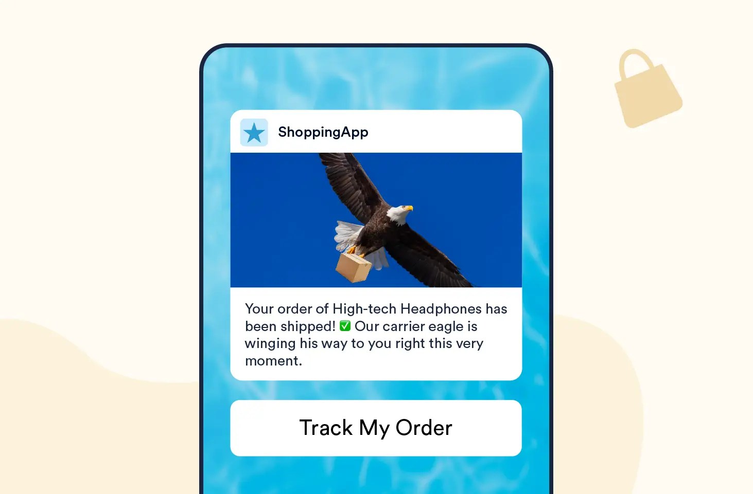 Push Notification template to Let Users Know When a Purchase Has Shipped