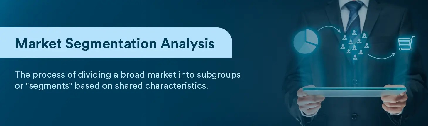 Segmentation Analysis Definition