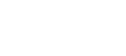 Fortis games