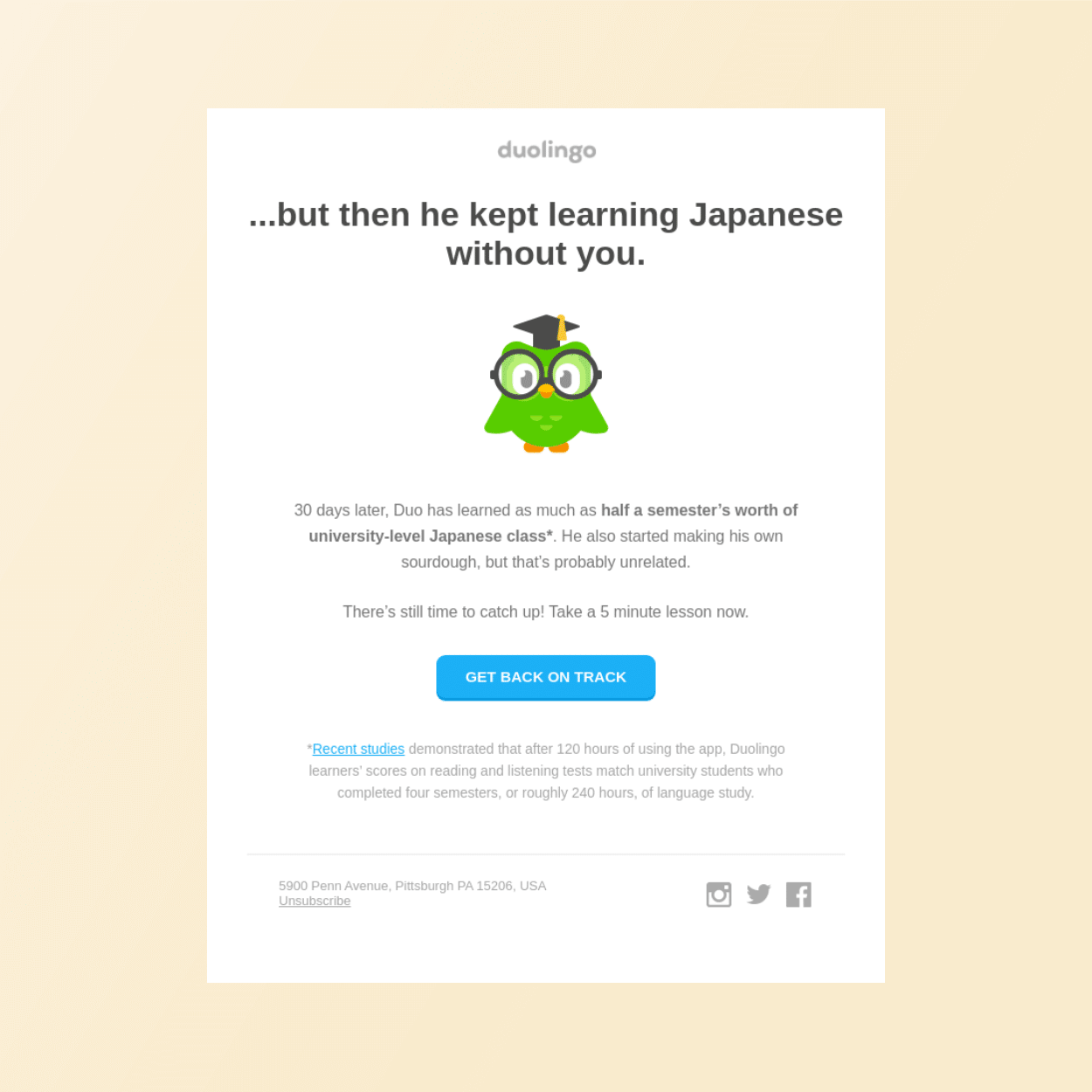 Email win-back campaign - Duolingo