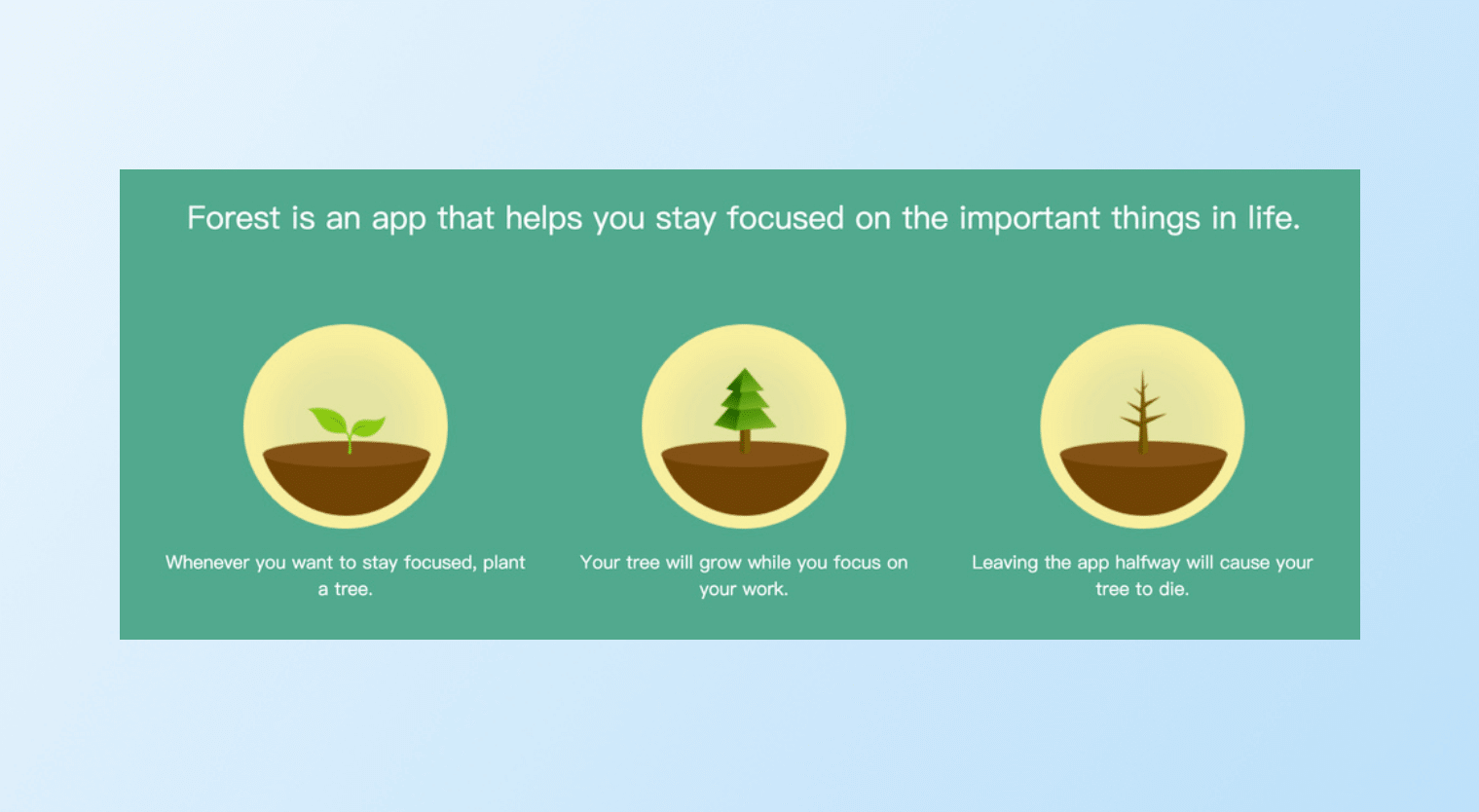 app gamification-forest