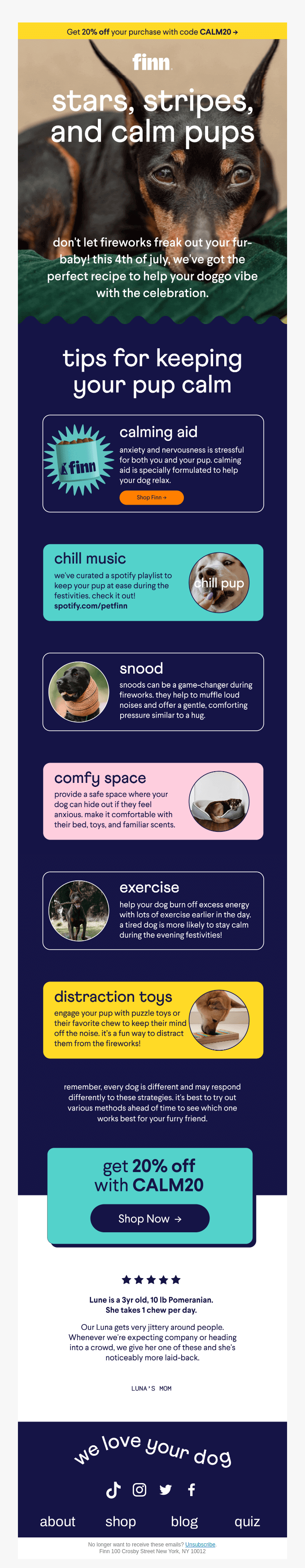 Finn 4th of July Email Marketing