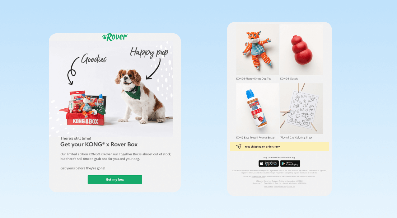 Christmas Email Marketing Ideas_ Rover Last Chance to Order Reminder email