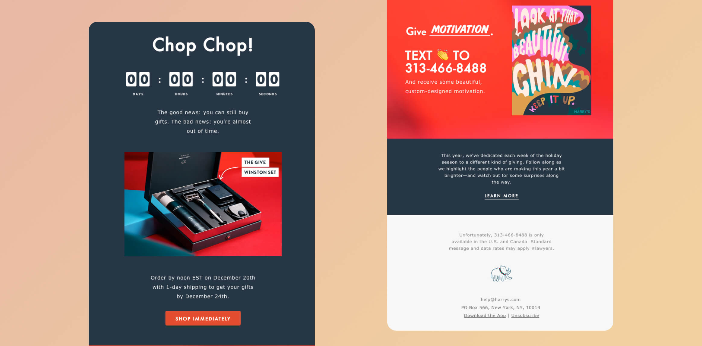 December marketing newsletter examples