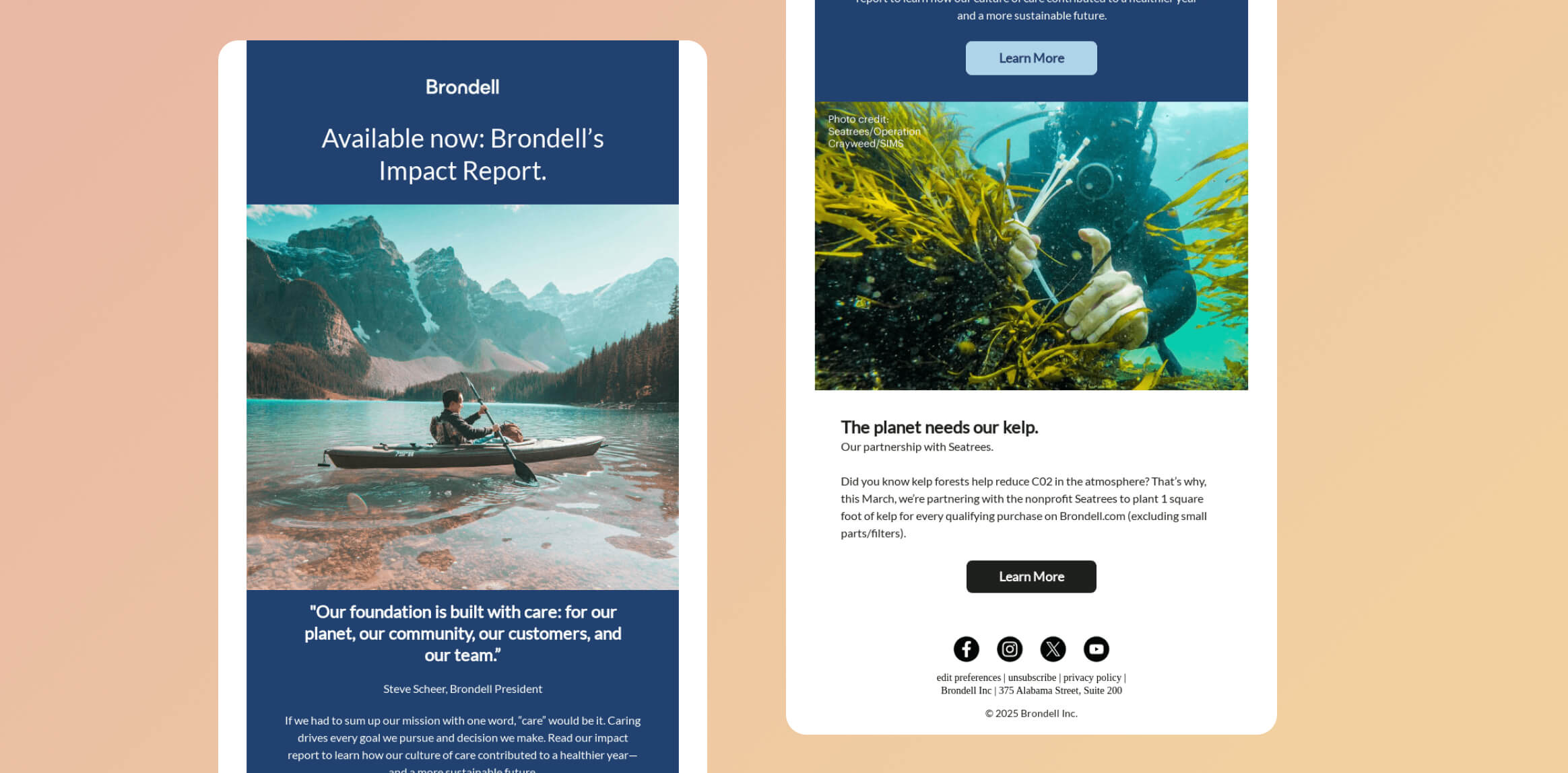 Ejemplos de newsletters de marketing de diciembre