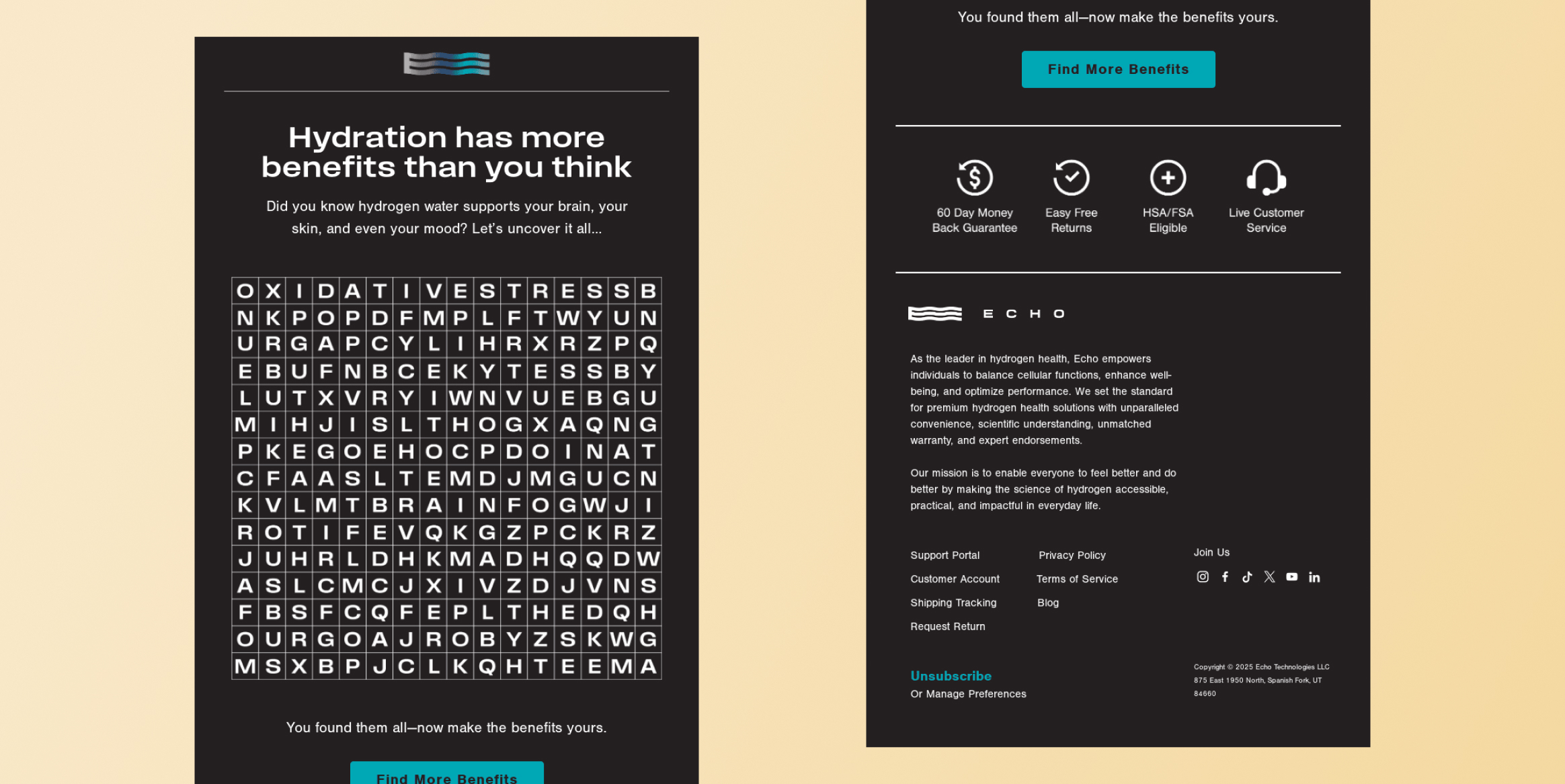 Two-panel infographic about hydrogen water benefits; left shows the headline and a word-search grid, right lists benefits icons and company text. Echo's Gamified Email Experience - Interactive Email Examples