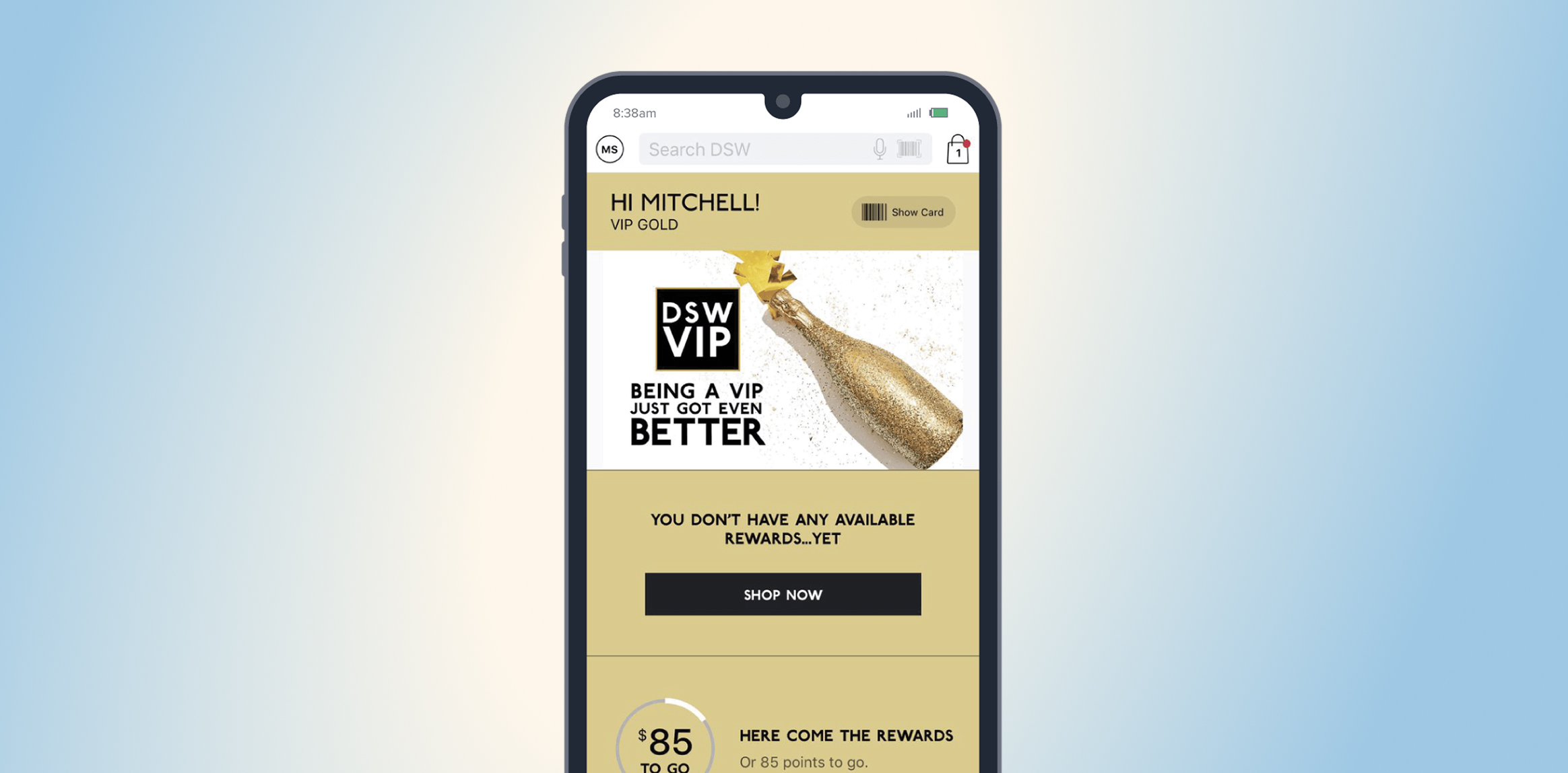 Enables Hyper-Personalization Across Channels. Phone screen showing a DSW VIP Gold welcome banner and rewards message with a gold champagne bottle graphic.