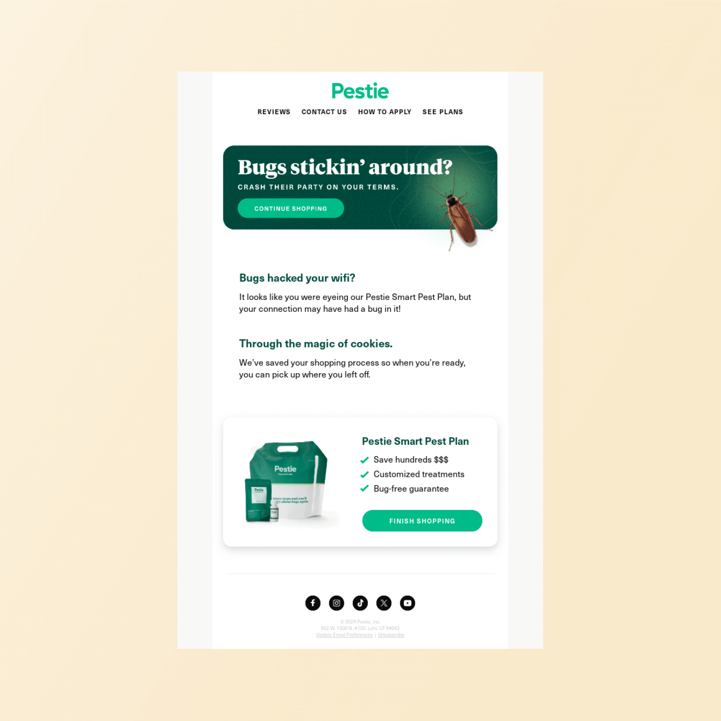 Pestie abandoned cart email examples