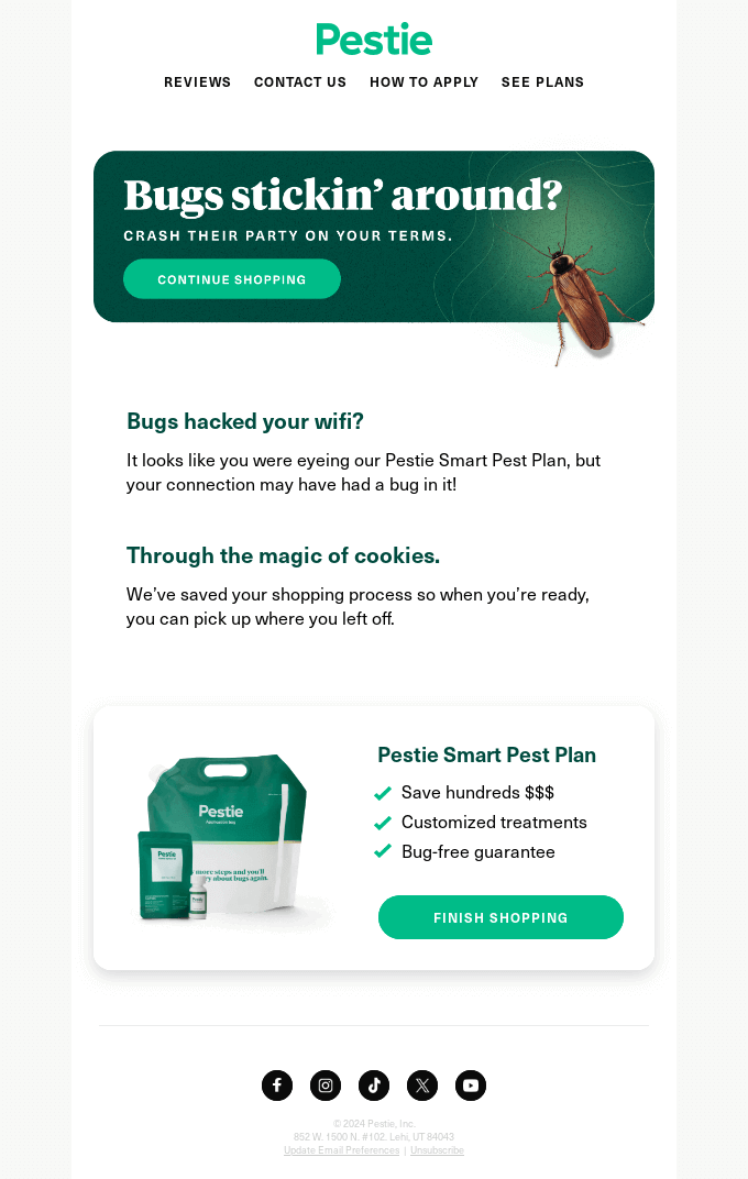 Pestie Abandoned Cart Email Example