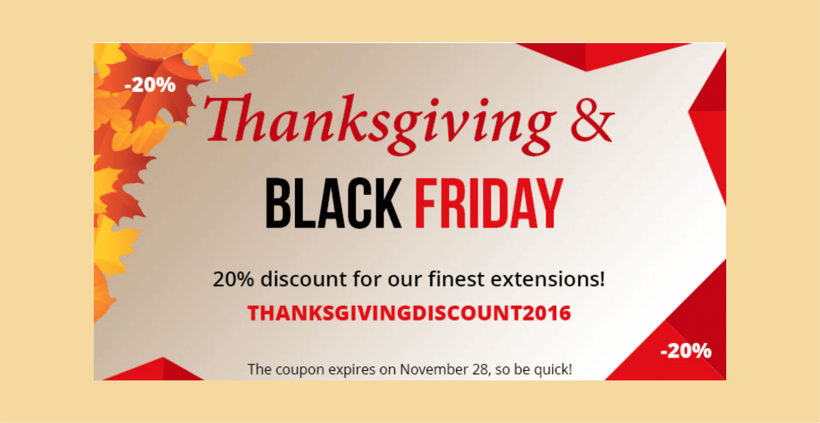 Thanksgiving Promotions Sale
