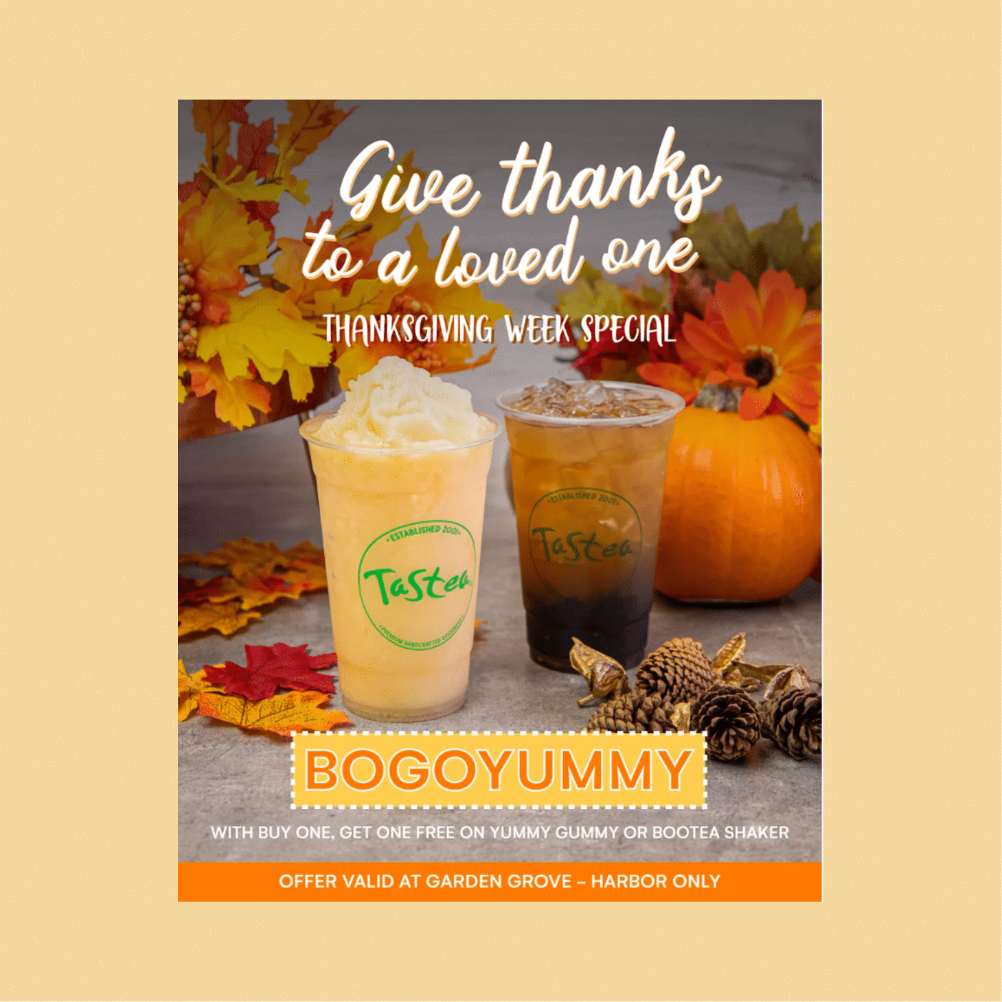 Thanksgiving promotions - BOGO
