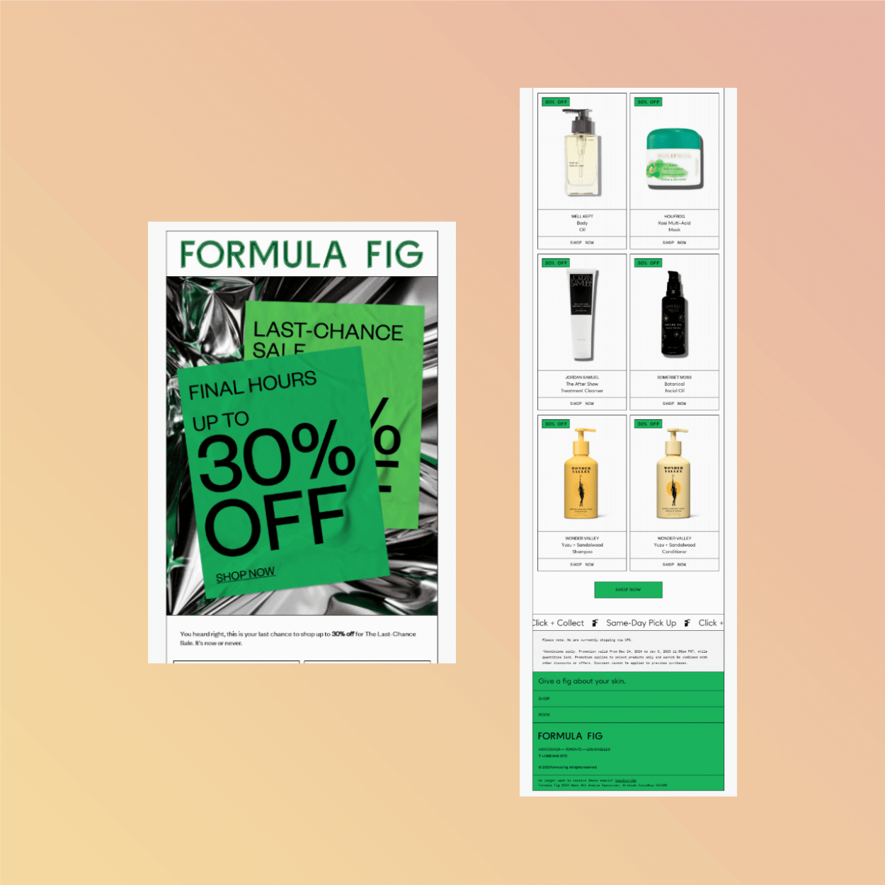 Thanksgiving email marketing - Formula Fig