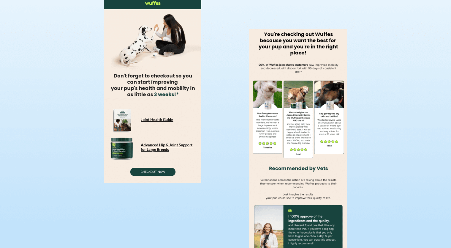 Abandoned cart email templates - wuffles