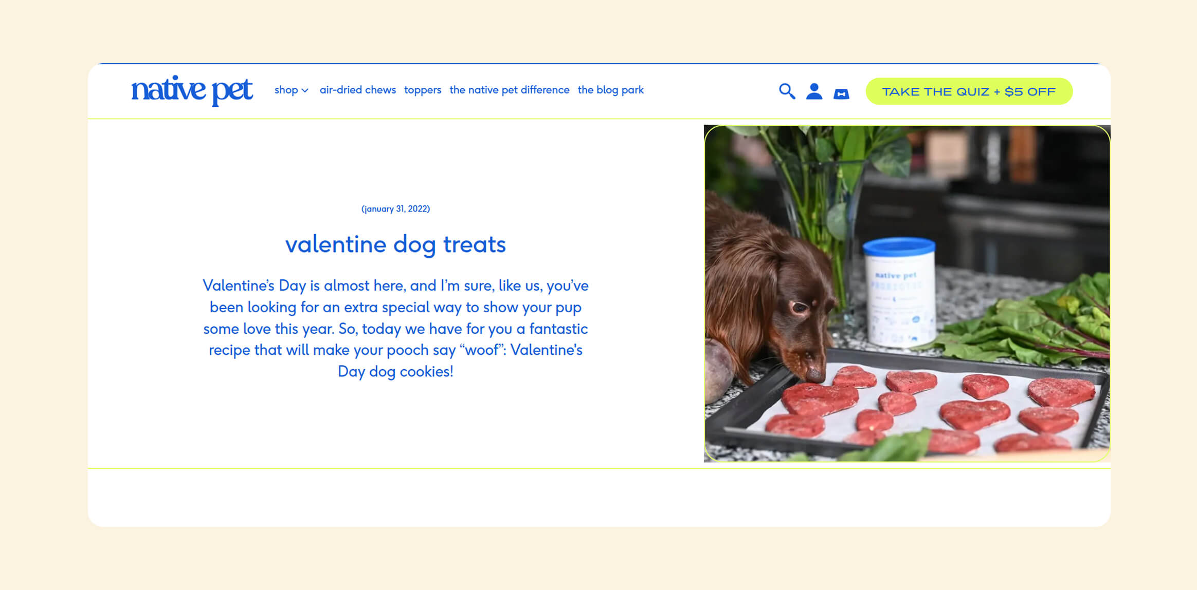 Valentine’s Day For Pets by Native Pets