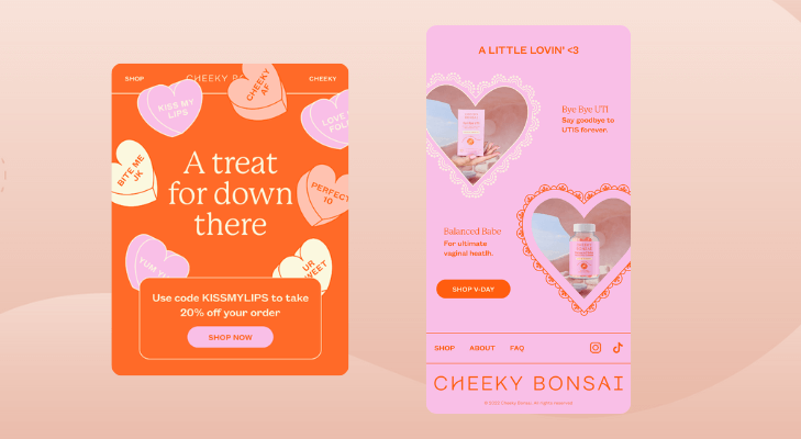 Valentine’s Day Email Newsletter - Themed Promo Codes by Cheeky Bonsai