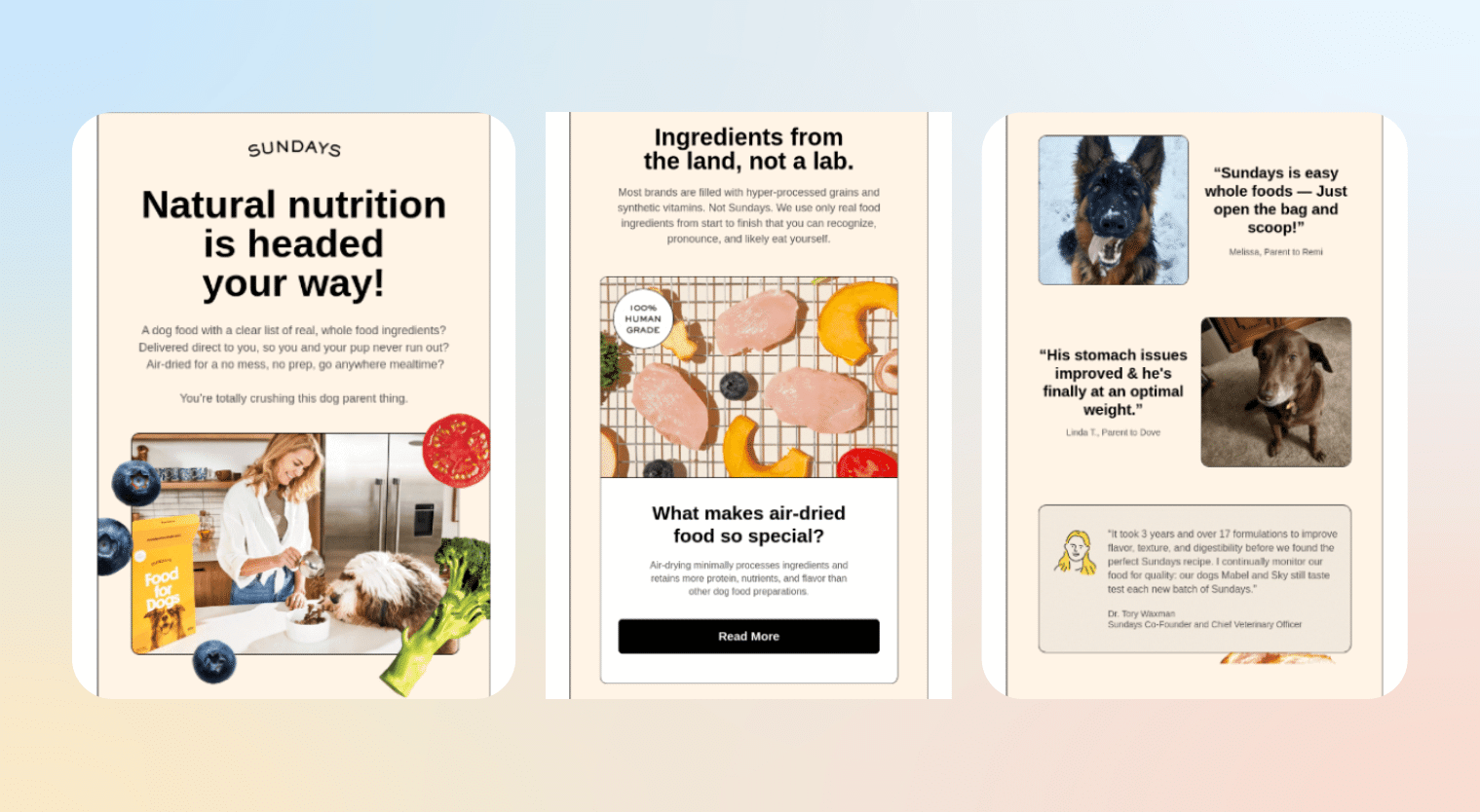 email automation for e-commerce - post purchase thank you