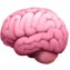 Mental Wellbeing