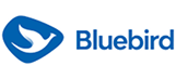Bluebird