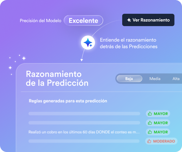 Understand every predictive segment with transparent and rule-based explanations