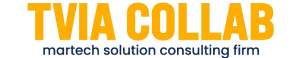 Tvia Collab – Martech Solutions Consulting